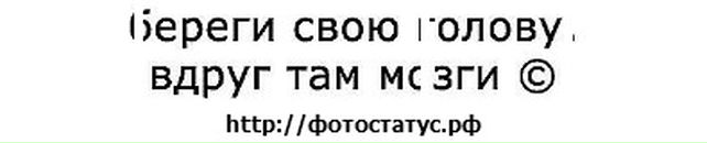 Коля Гніздюх фотография #6 (источник - https://vk.com/id61774237)