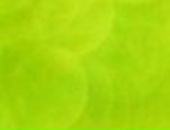 Ілона Лебеденко фотография #2 (источник - https://vk.com/id56674792)