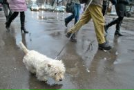 Валерій Шмаков фотография #31 (источник - https://vk.com/id11538888)