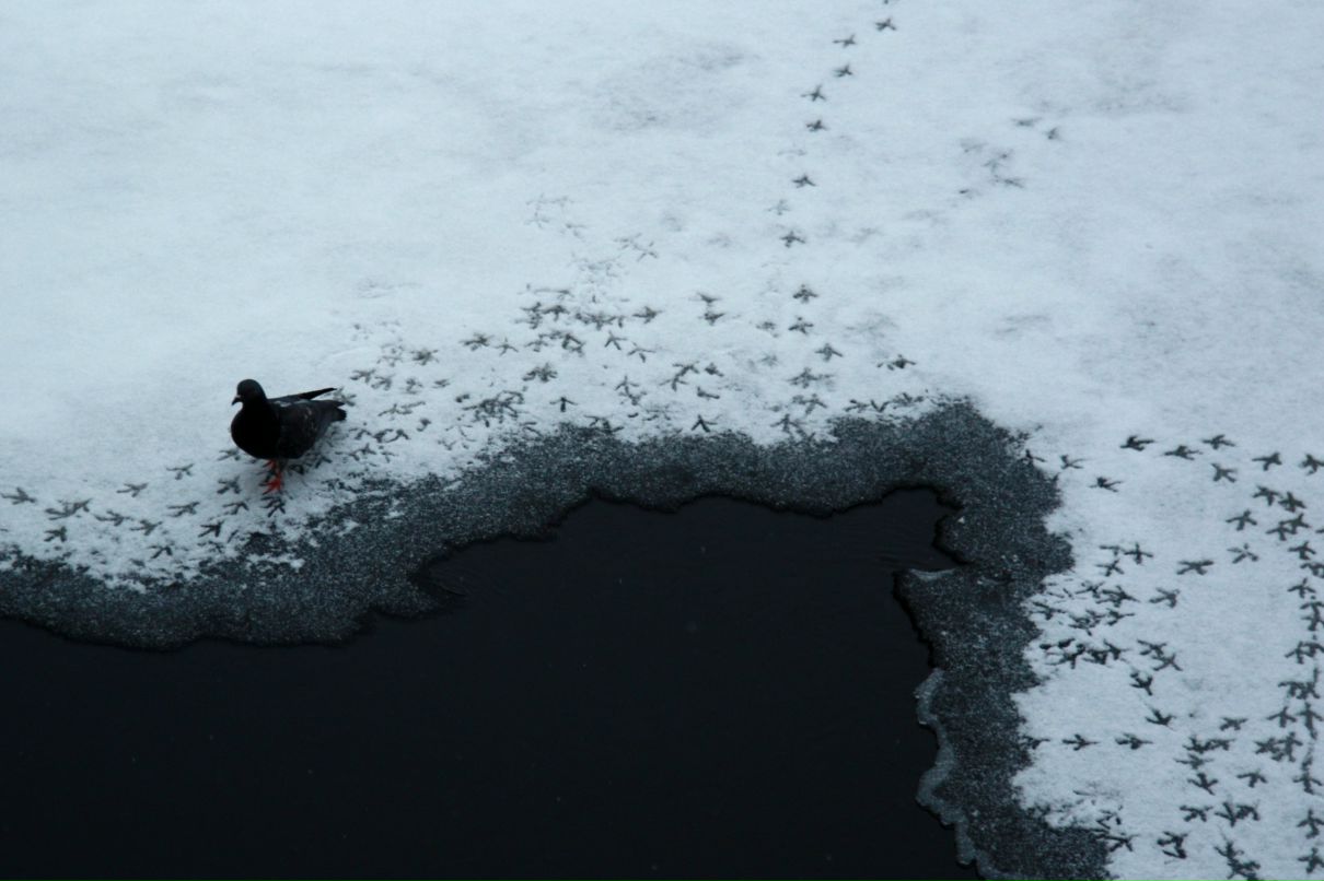 Катя Мищенко фотография #16