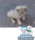 Коля Виговській фотография #14 (источник - https://vk.com/id135949812)