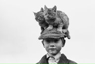 Софія Теслюк фотография #43 (источник - https://vk.com/id16916155)