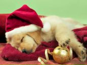 Андрій Ткач фотография #15 (источник - https://vk.com/id133966263)