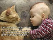 Іра Лазарева фотография #23 (источник - https://vk.com/id42730522)