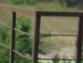 Сільвіка Фадьош фотография #31 (источник - https://vk.com/id43395817)