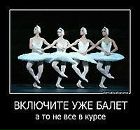 Фотография Laveras Camelia