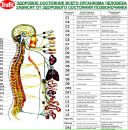 Фотография Лукьяновой Венеры