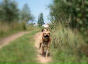 Фотография Величко Марии