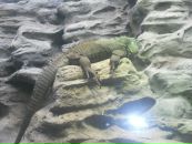 Оксана Кілик фотография #48 (источник - https://vk.com/id66598277)