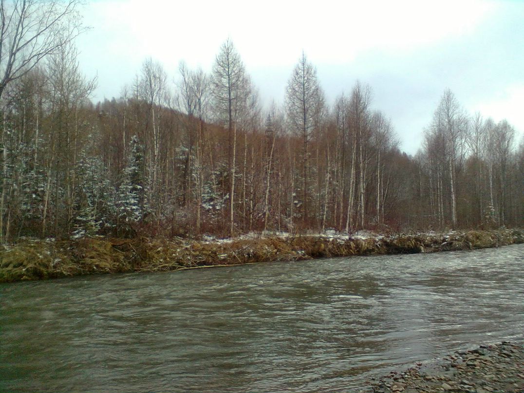 Федор Ю фотография #29