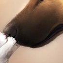 Зорі4ка:))) Правдун$_$ фотография #38 (источник - https://vk.com/id155770547)