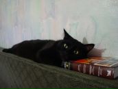 Фотография Брык-Мусиной Карины