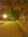 Фотография Логинова Сергея
