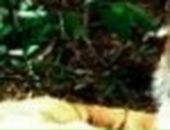 Альбина Хабибуллина фотография #15 (источник - https://vk.com/id30116118)