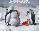 Сашко Федінчик фотография #46 (источник - https://vk.com/id167928114)
