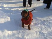 Фотография Гуровой Елены