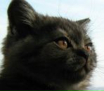 Фотография Глущевского Алексея