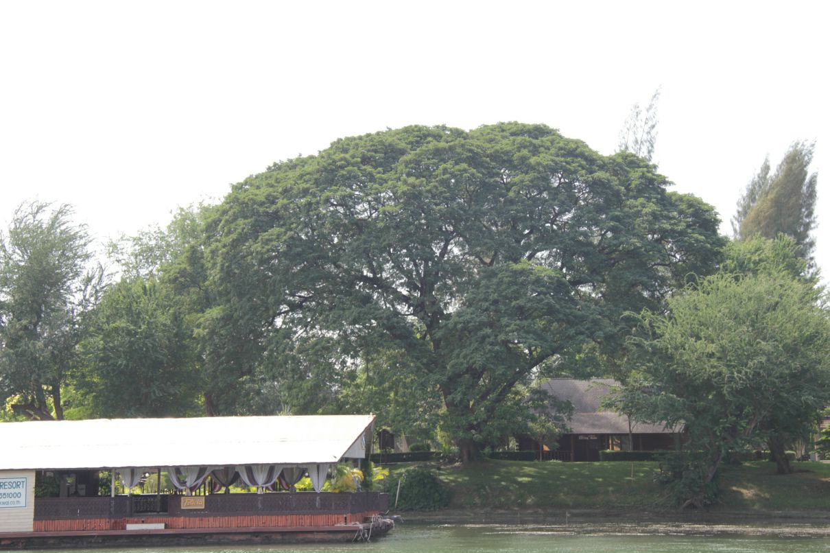 Дмитрий Симонов фотография #39