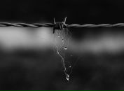 Фотография Федоровой Надежды