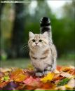 Катя Катіна фотография #50 (источник - https://vk.com/id9392131)