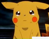 Фотография Горячкина Алексея