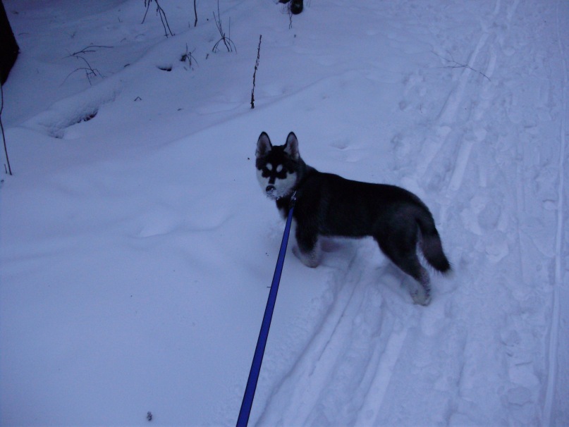 Дмитрий Тепляков фотография #34