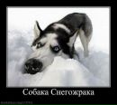Фотография Елена Анпилогова
