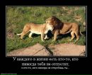 Фотография Рощиной Ольги