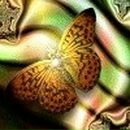 Фотография Носовой Марии