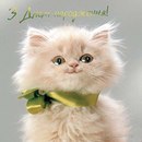 Віктор Чикирило фотография #4 (источник - https://vk.com/id170937764)