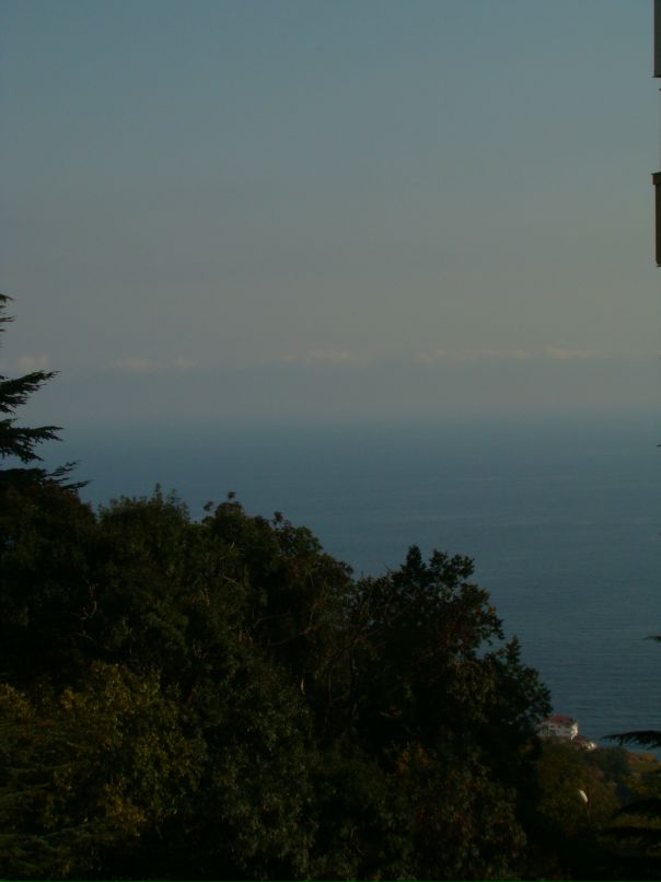 Дмитрий Ддв фотография #18