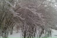 Фотография Р Елены