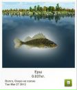 Сергій Стахів фотография #47 (источник - https://vk.com/id137486060)