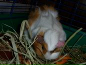 Наталя Білянська фотография #37 (источник - https://vk.com/id36491926)