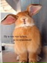 Толік Кривчук фотография #28 (источник - https://vk.com/id142470795)