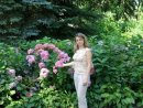 Фотография Шторы Эстор
