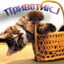 Настінька Бандяк фотография #22 (источник - https://vk.com/id17063168)