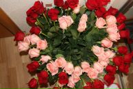 Фотография Присяжной Анны