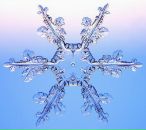 Ірчик Нікулішена фотография #36 (источник - https://vk.com/id141327530)