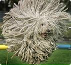 Фотография Bogdanov Andrew