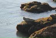 Байрта Калачинова фотография #10 (источник - https://vk.com/id475050)