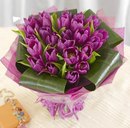 Настя Євдощук фотография #1