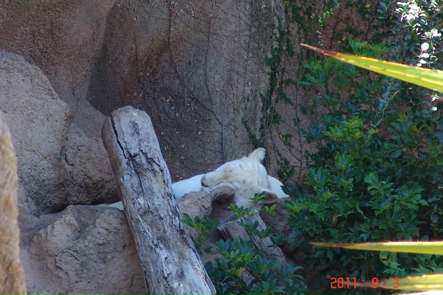 Руслан ... фото №37