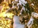 Софія Далека фотография #12 (источник - https://vk.com/id132641603)