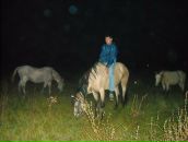 Фотография Жарова Анатолия