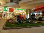 Діма Верхоляк фотография #49 (источник - https://vk.com/id8059467)