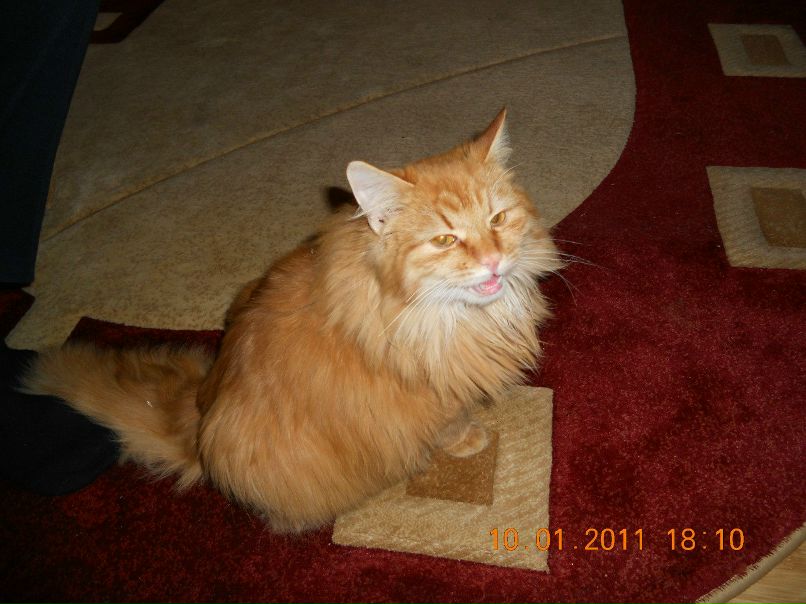 Валентин Левченко фотография #11