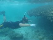 Андрій Дубік фотография #41 (источник - https://vk.com/id3981295)