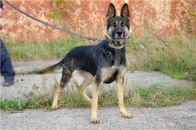 Ярик Сусляк фотография #21 (источник - https://vk.com/id6677792)