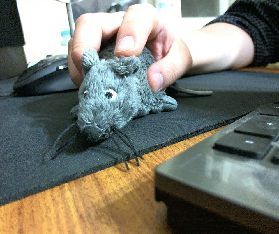 Басан Кикеев фотография #42